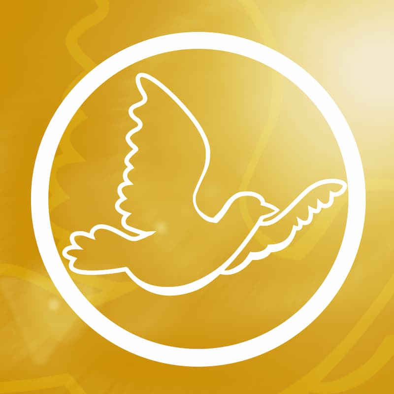 United for Human Rights logo